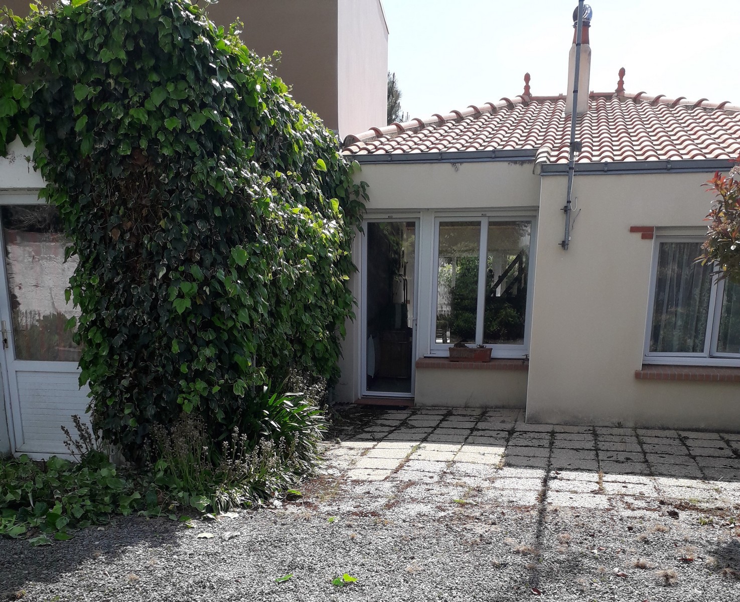 La cour